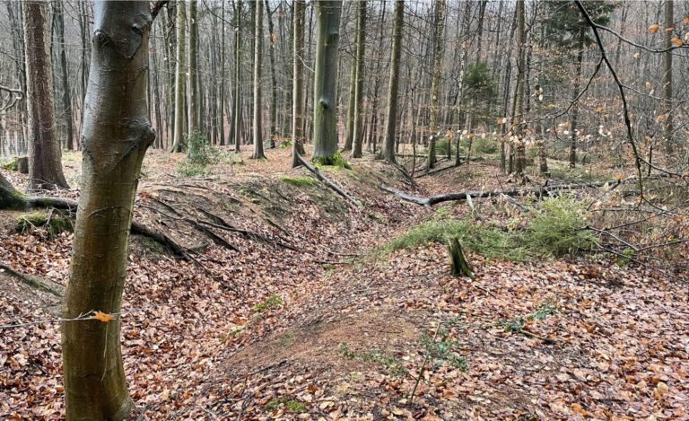 Bergschleife Berghol