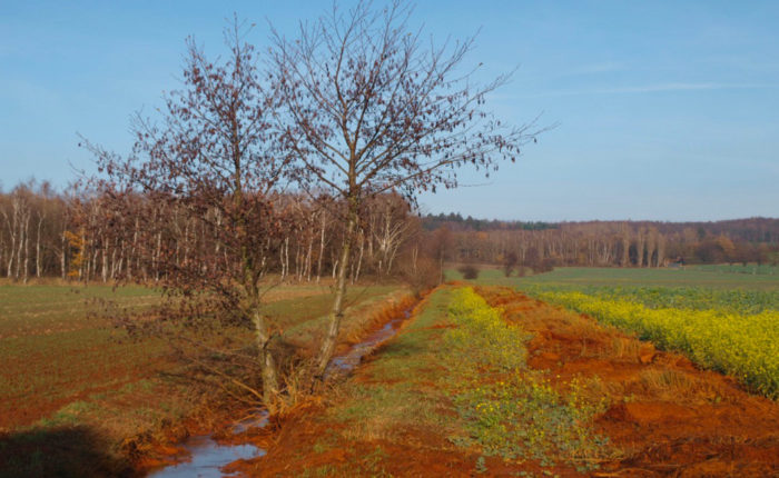 Hagenrunde Ockerbecken/Schacht