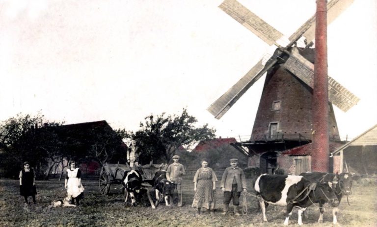 Stadttouren Sachsenhagen Wind- u. Wassermühlen