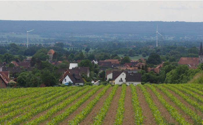 Stadttouren Sachsenhagen Aussichtspunkt