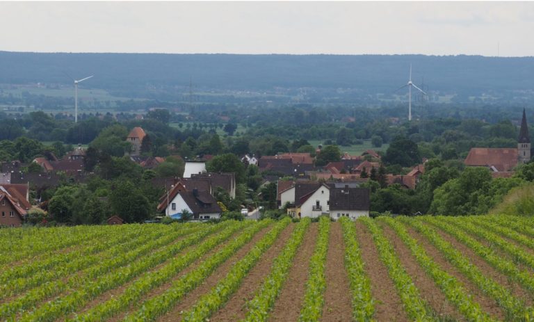Stadttouren Sachsenhagen Aussichtspunkt