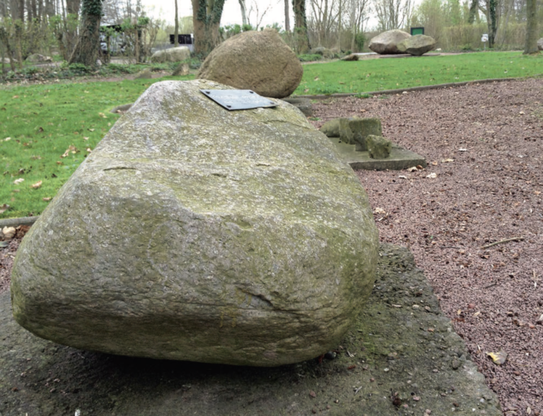 Fleckentour Hagenburg Findlingsarten